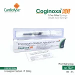 Coginoxa 60