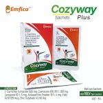 Cozyway Plus